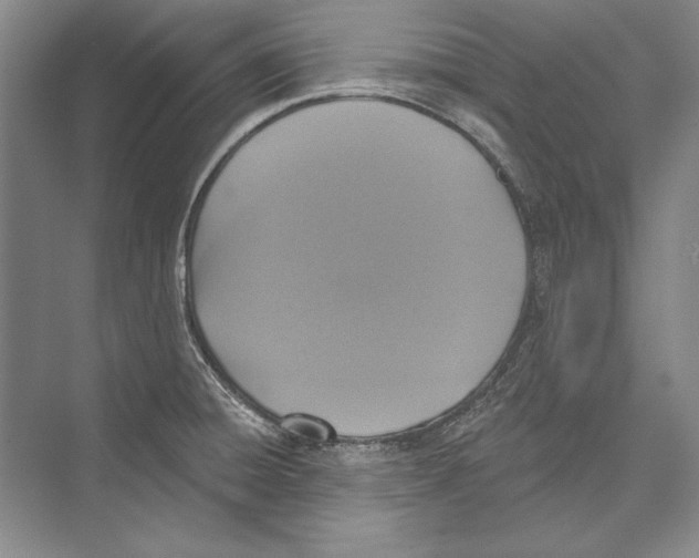 X0000072491428200608111550