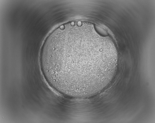 X0000072491429200608111550