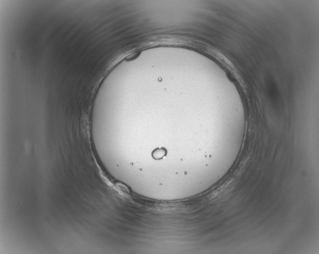 X0000072491433200608111550