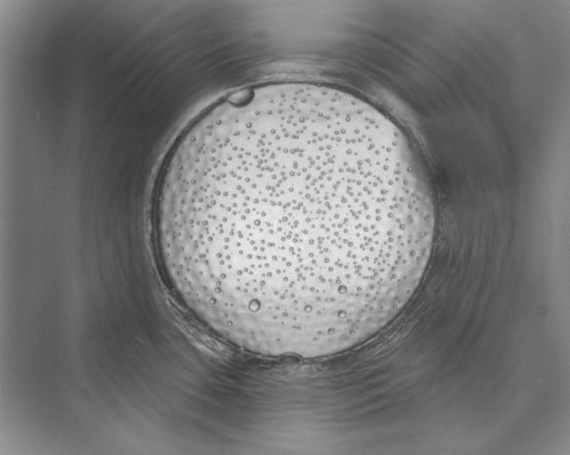 X0000072491435200608111550