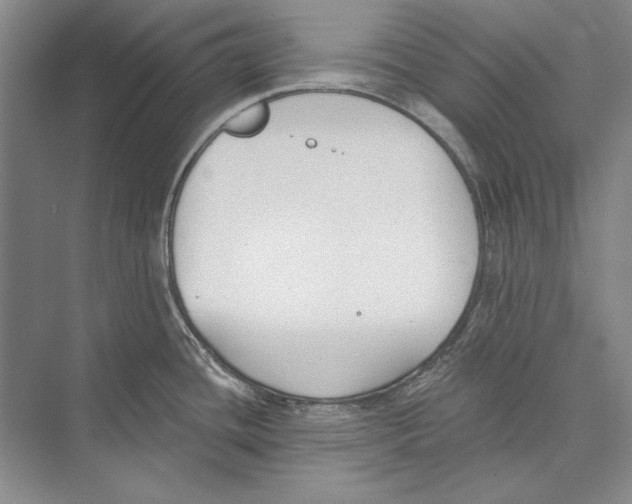 X0000072491436200608111550