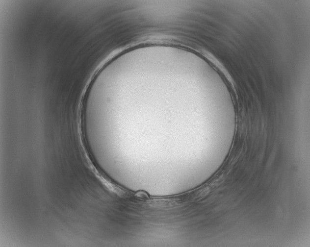 X0000072491437200608111550