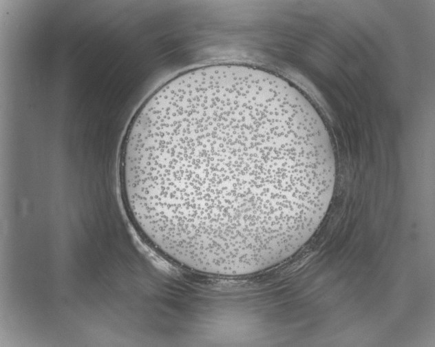 X0000072491439200608111550