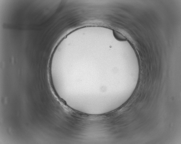 X0000072491440200608111550