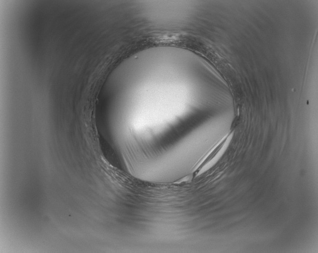 X0000072491441200608111550