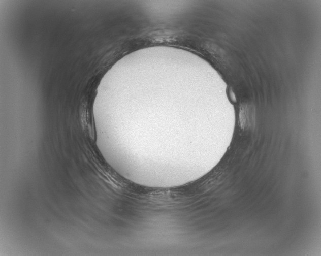 X0000072491444200608111550