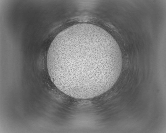 X0000072491446200608111550