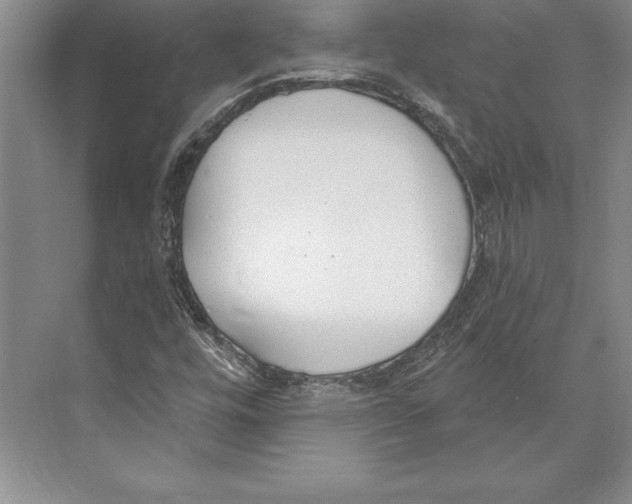 X0000072491448200608111550