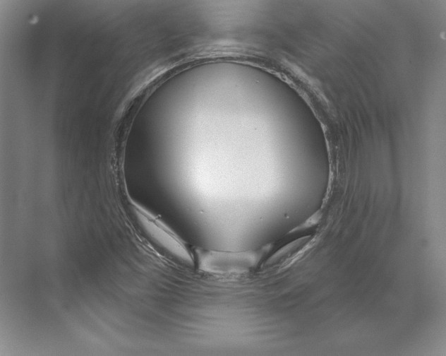 X0000072491453200608111549