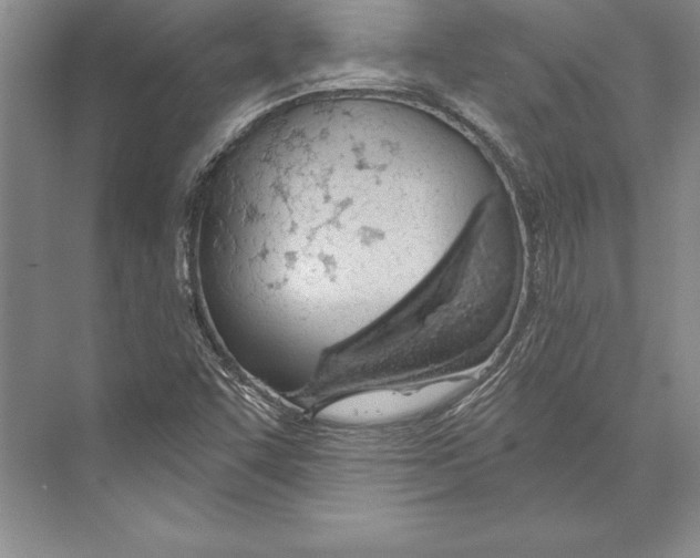 X0000072491455200608111549