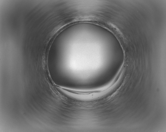 X0000072491457200608111549