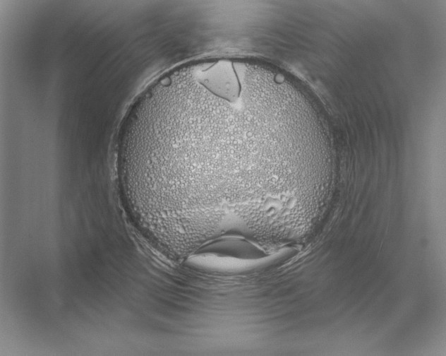 X0000072491459200608111549