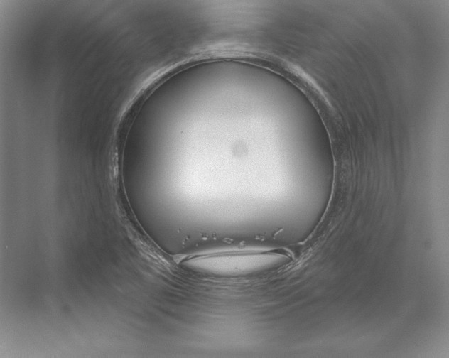 X0000072491461200608111549