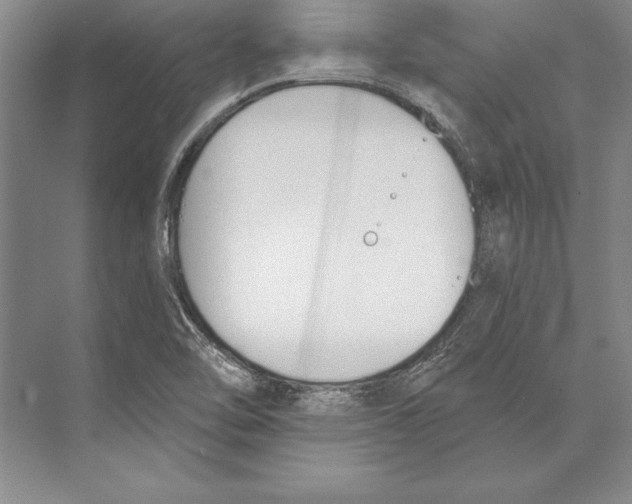 X0000072491462200608111549