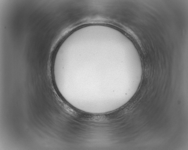 X0000072491464200608111549