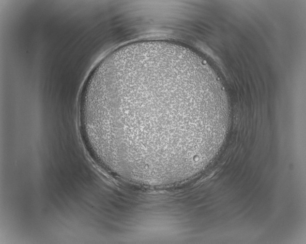 X0000072491467200608111549