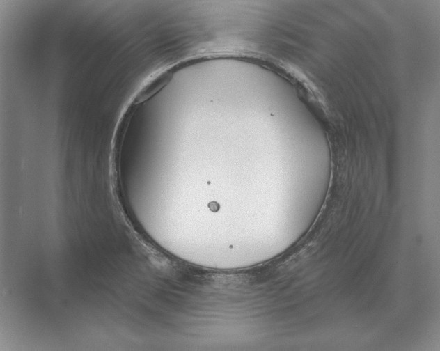 X0000072491469200608111549