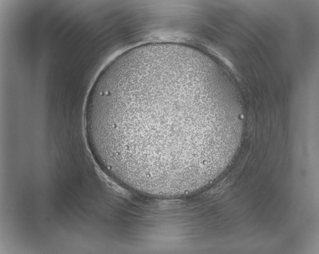 X0000072491471200608111549