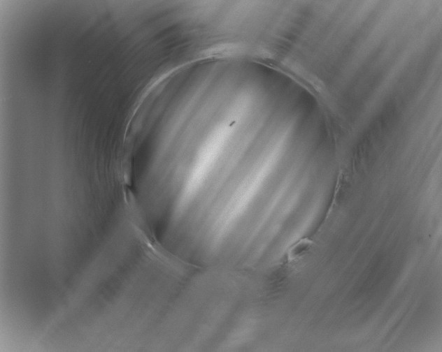 X0000072491473200608111549