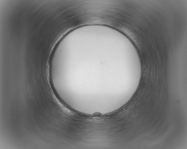 X0000072491476200608111549