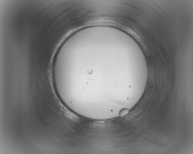 X0000072491478200608111549