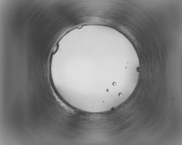 X0000072491479200608111549