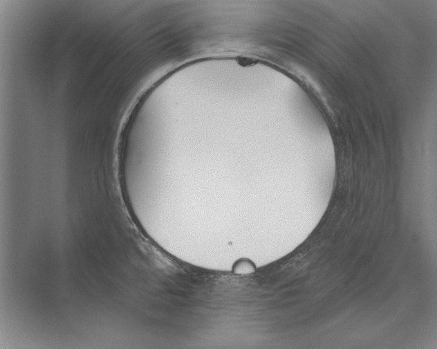 X0000072491480200608111549