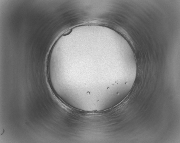 X0000072491483200608111549