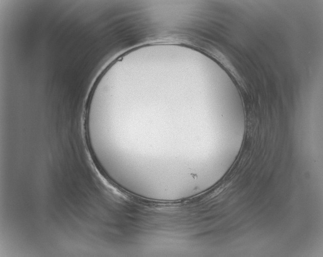 X0000072491484200608111549