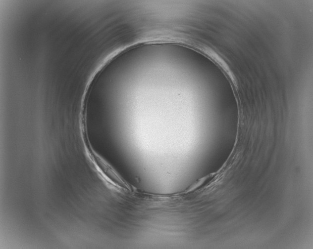 X0000072491485200608111549