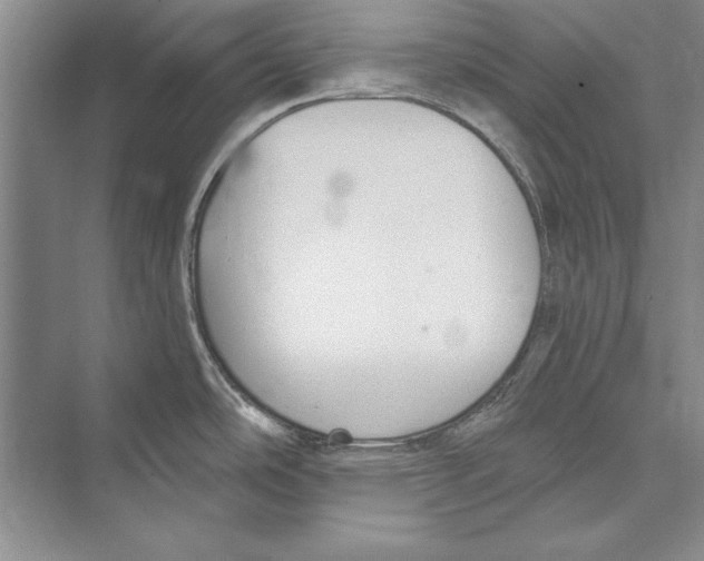 X0000072491486200608111549