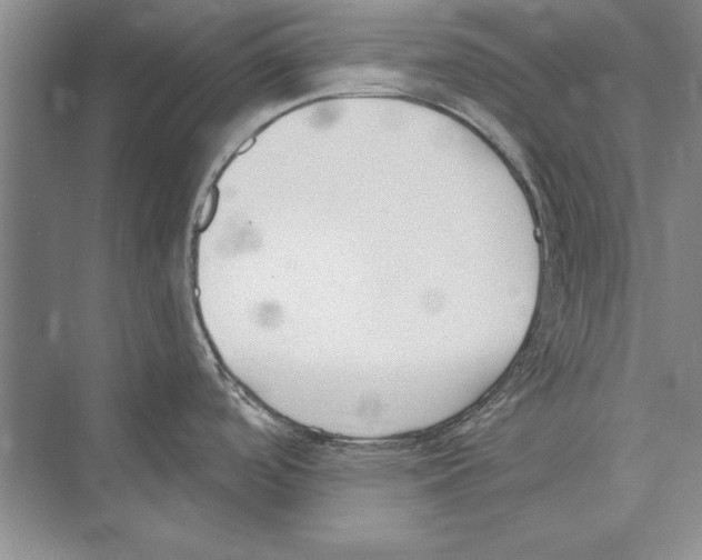 X0000072491488200608111549