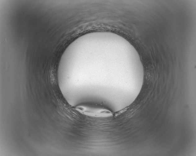 X0000072491490200608111548