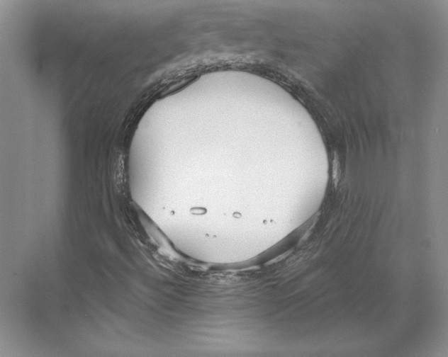 X0000072491492200608111548