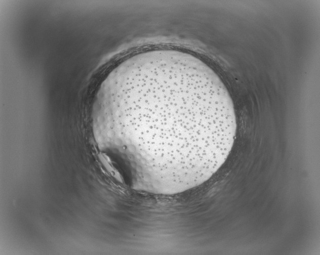 X0000072491494200608111548