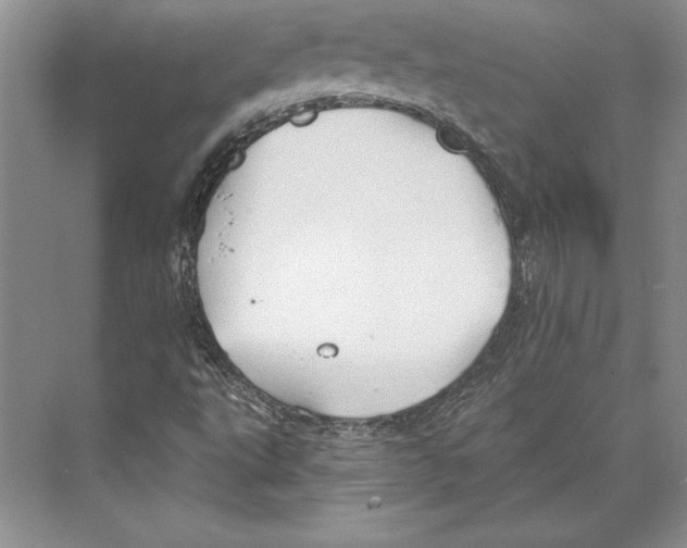 X0000072491495200608111548