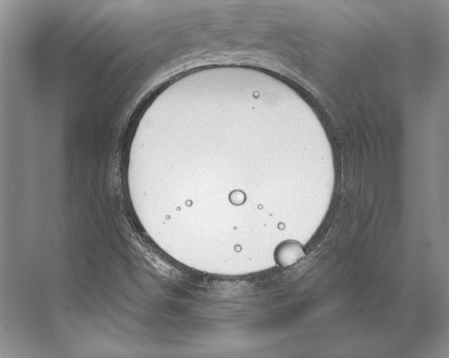 X0000072491498200608111548