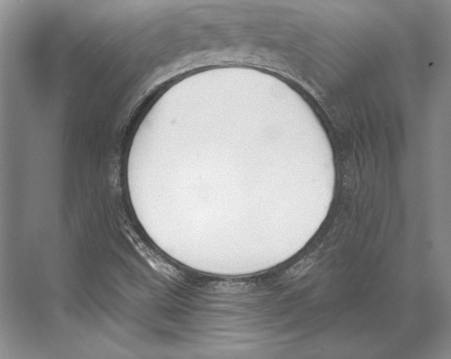 X0000072491499200608111548