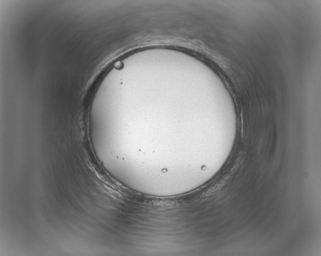 X0000072491501200608111548