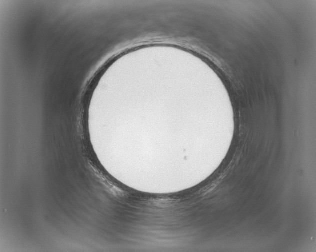 X0000072491502200608111548