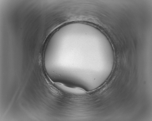 X0000072491505200608111548