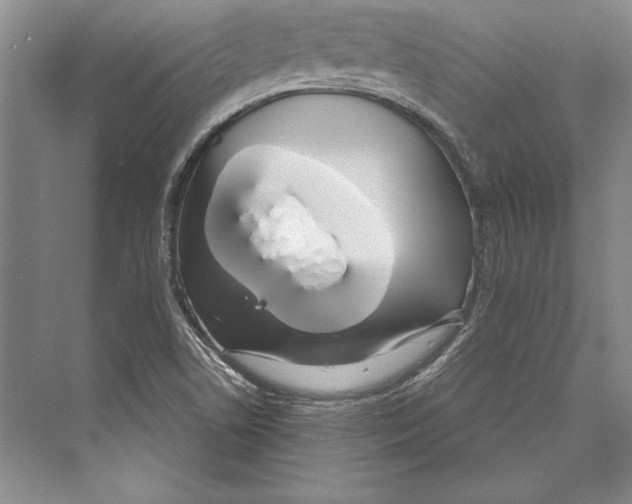 X0000072491506200608111548