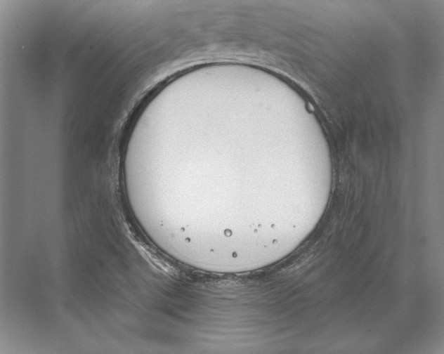 X0000072491507200608111548