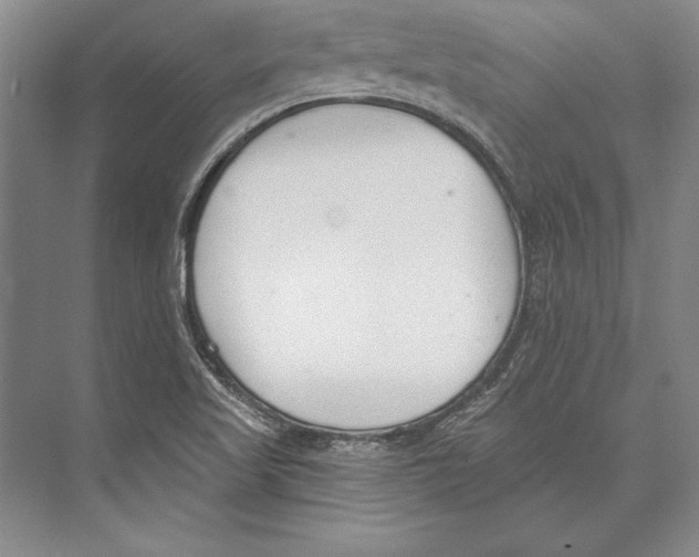 X0000072491509200608111548