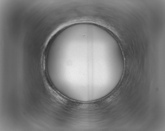 X0000072491510200608111548