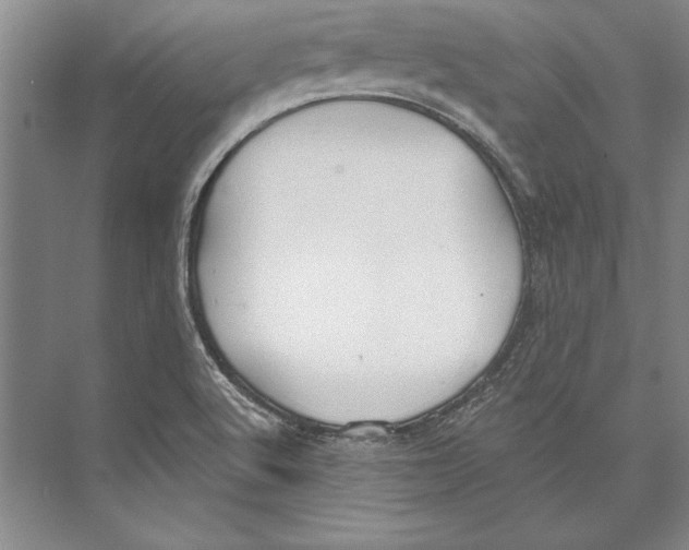 X0000072491512200608111548