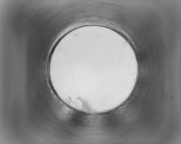 X0000072491514200608111548