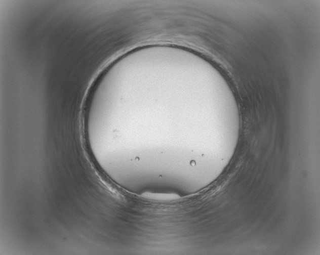 X0000072491517200608111549