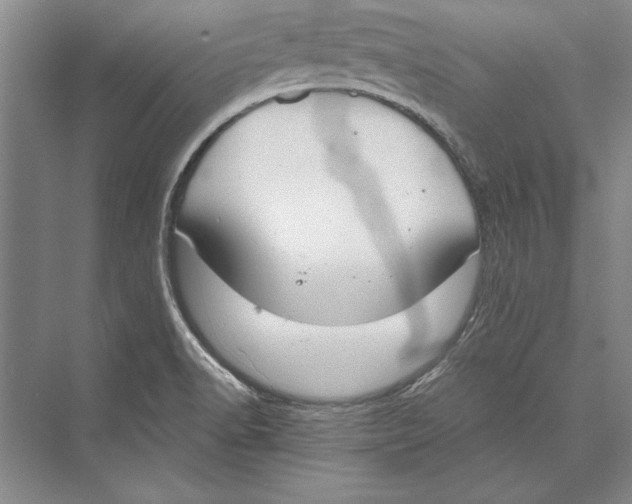 X0000072491518200608111549