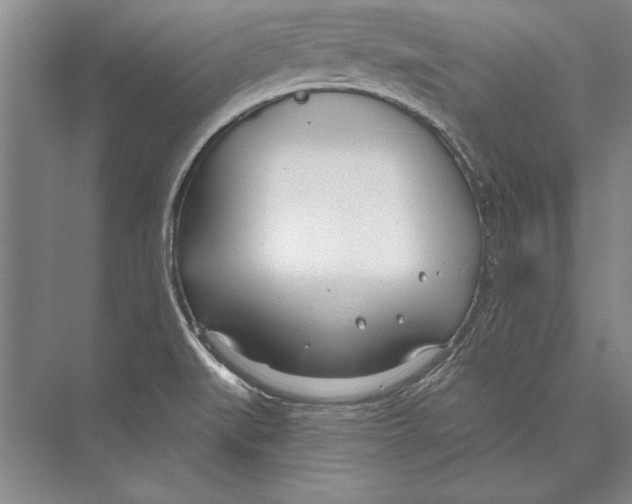 X0000072491519200608111549